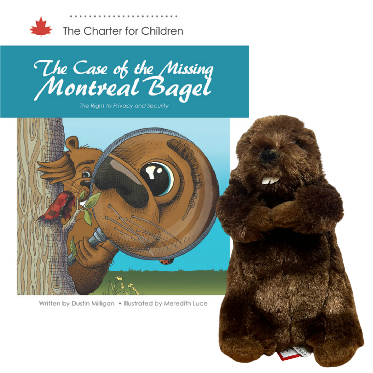 Montreal Bagel Bundle