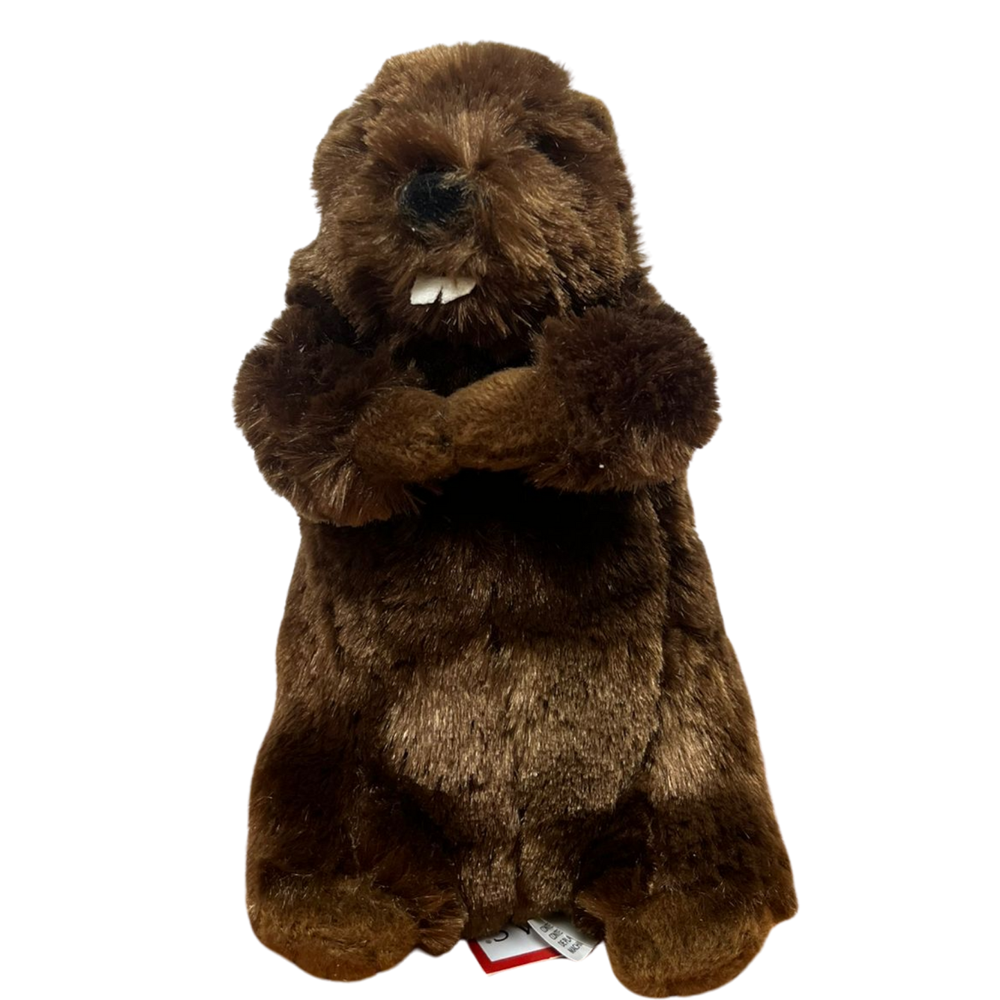 Soft Plush (selected animals)