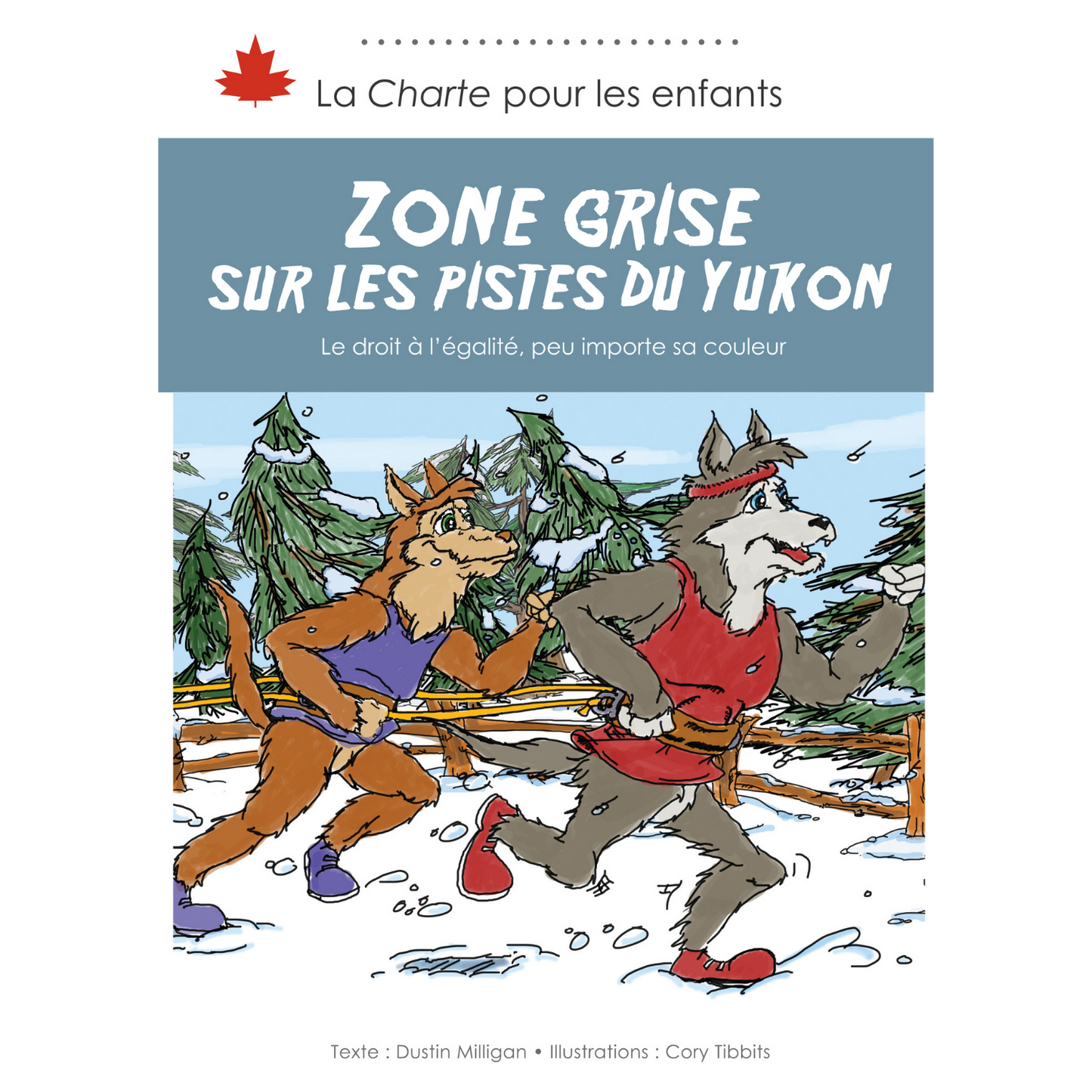 Zone grise sur les pistes du Yukon