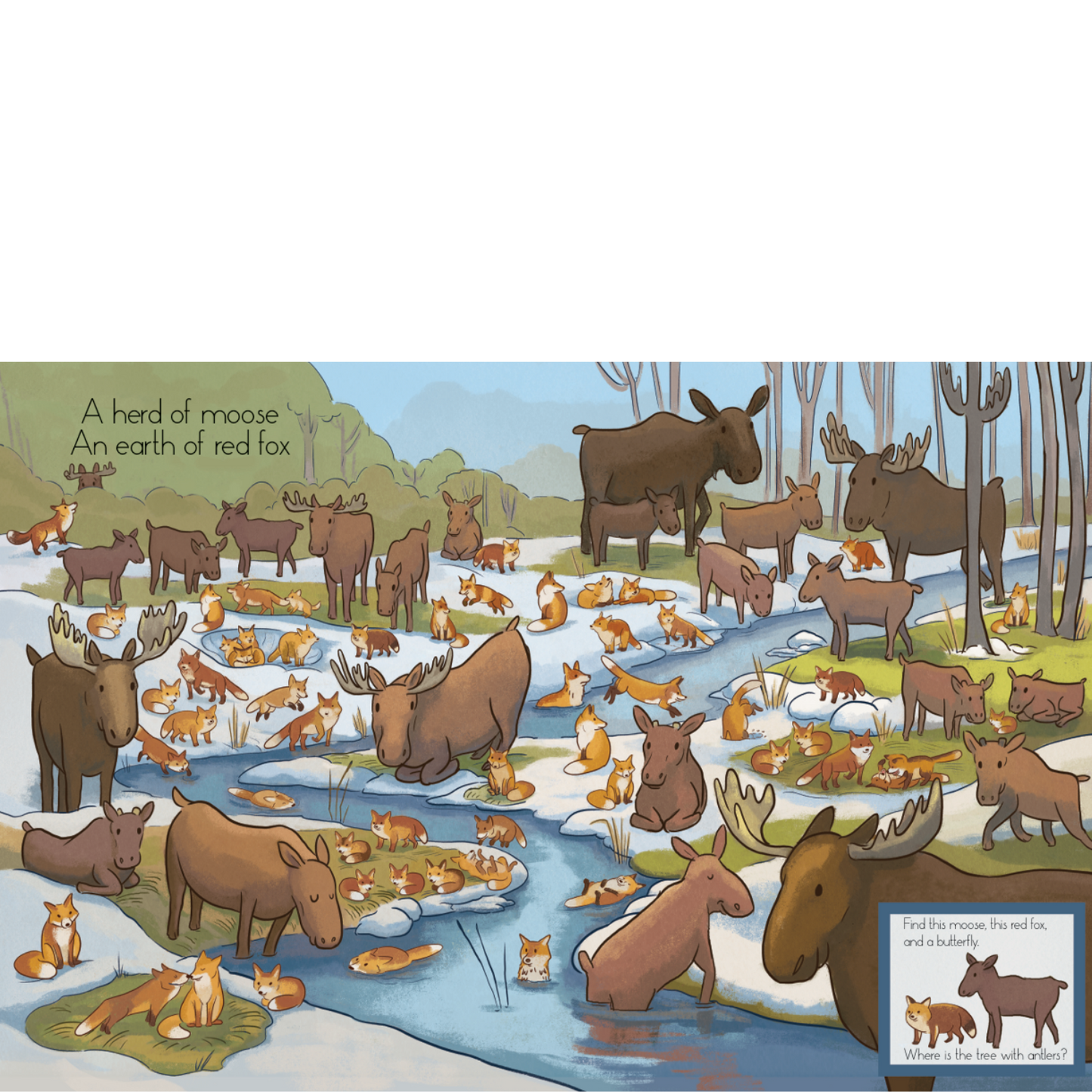 Hide & Seek: Wild Animal Groups in North America