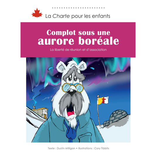 Complot sous une aurore boréale