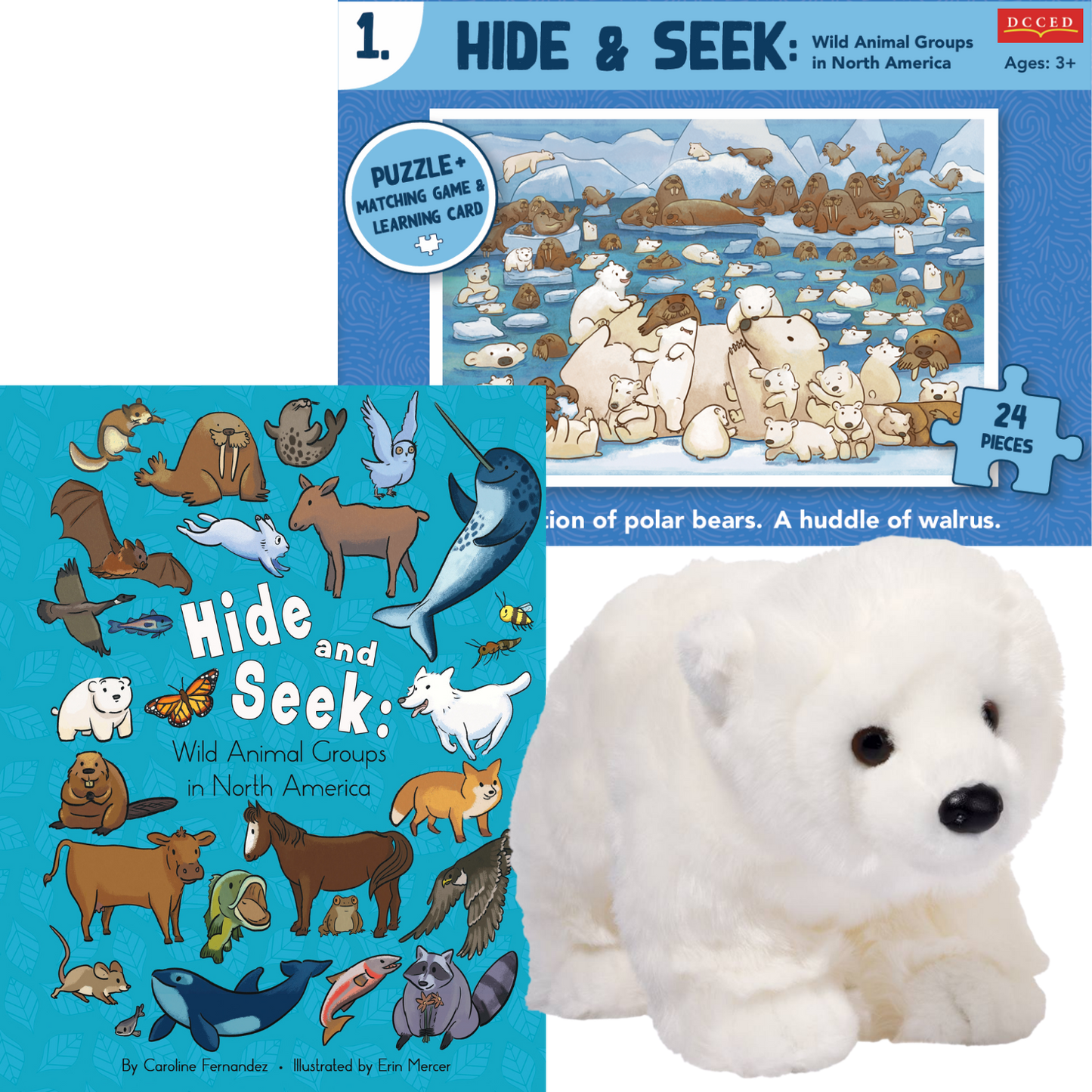 Hide & Seek Polar Bundle