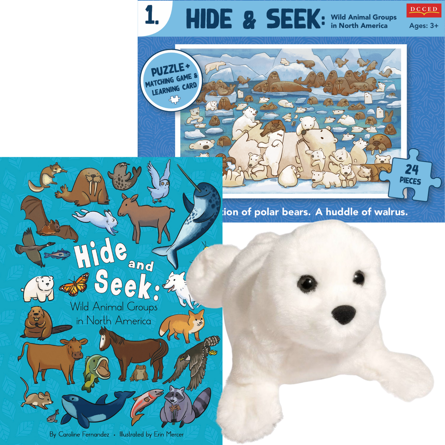Hide & Seek Polar Bundle