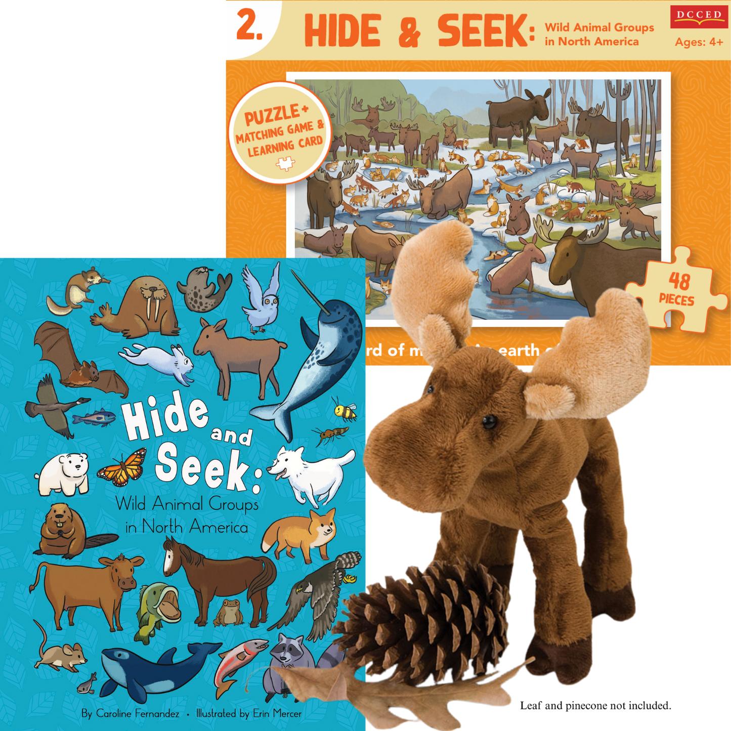 Hide & Seek River Bundle