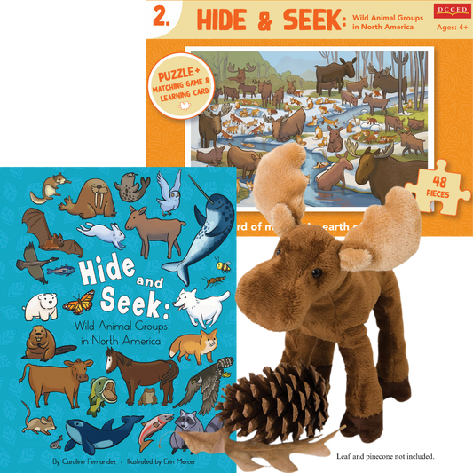 Hide & Seek River Bundle