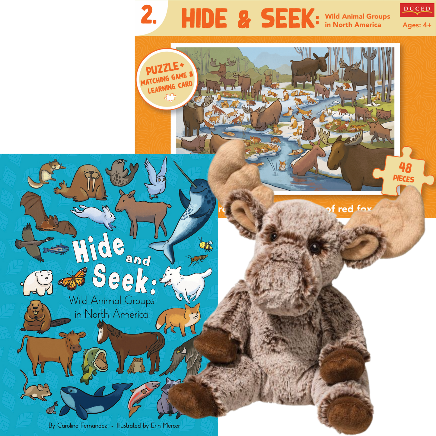 Hide & Seek River Bundle
