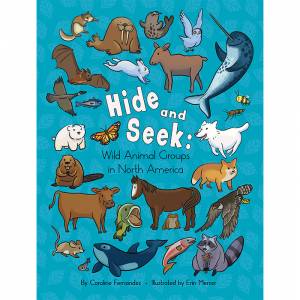 Hide&Seek_web